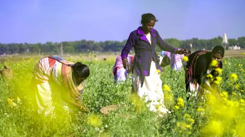 Rooted in soil, blooming with strength